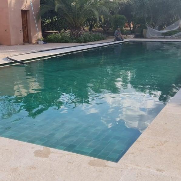 Piscine de villa achevée avec jardin